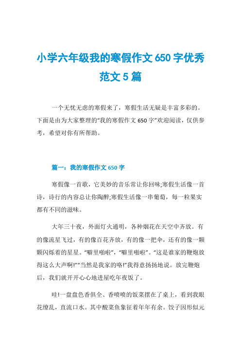 小学六年级我的寒假作文650字优秀范文5篇