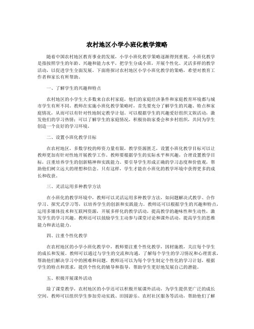 农村地区小学小班化教学策略