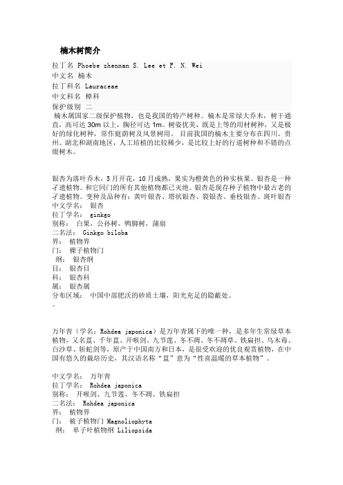 楠木树简介