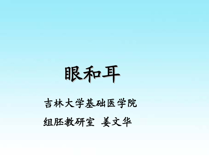 吉林大学基础医学院组胚教研室姜文华