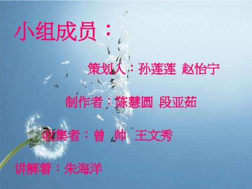 财务会计报表实训