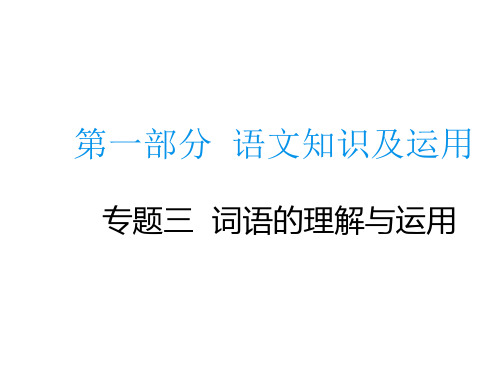 〔最新版〕中考语文总复习专题ppt词语的理解与运用(共19页PPT)