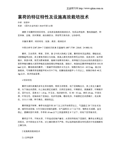 蘘荷的特征特性及设施高效栽培技术