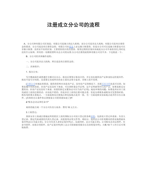 注册成立分公司的流程