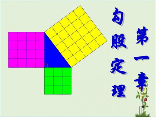 《探索勾股定理》参考课件