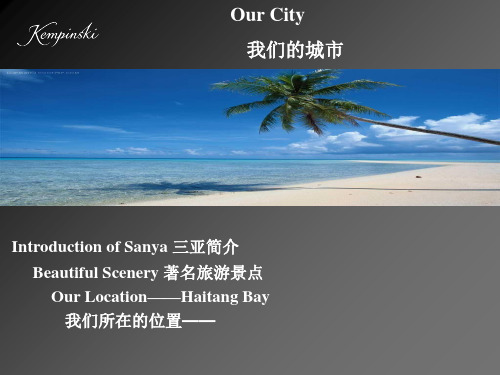 三亚市简介模板
