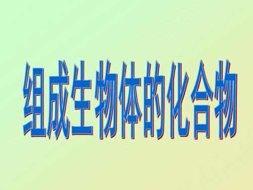 组成生物体的化合物