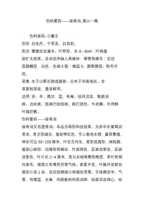 伤科要药接骨消-黄山一樵
