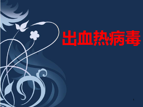 出血热病毒ppt课件