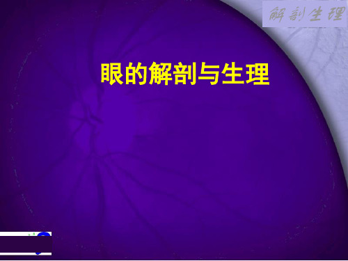 眼科学-2.1眼部解剖生理课件