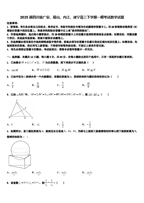 2025届四川省广安、眉山、内江、遂宁高三下学期一模考试数学试题含解析