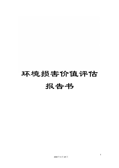 环境损害价值评估报告书