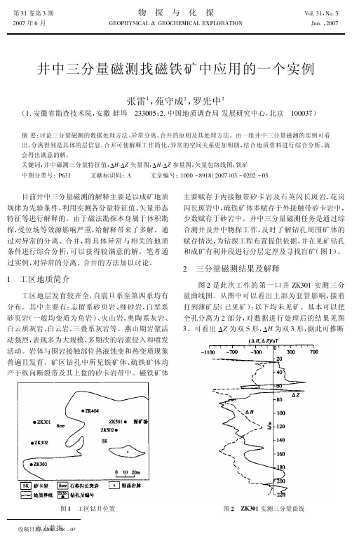 井中三分量磁测找磁铁矿中应用的一个实例