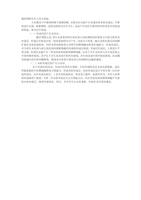 根的增粗生长与次生构造