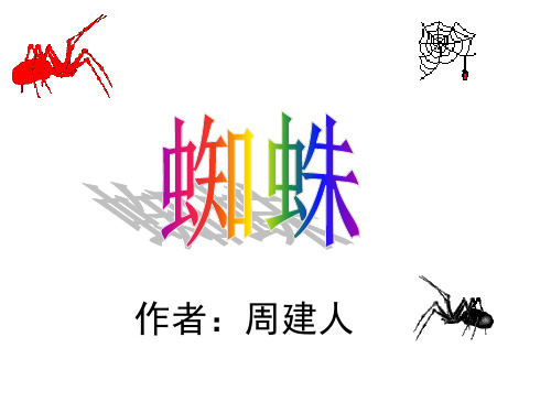 蜘蛛周建人
