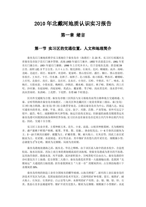 实习报告