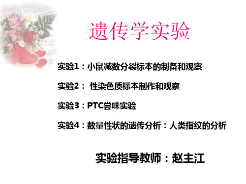 2012-9-19 X染色质
