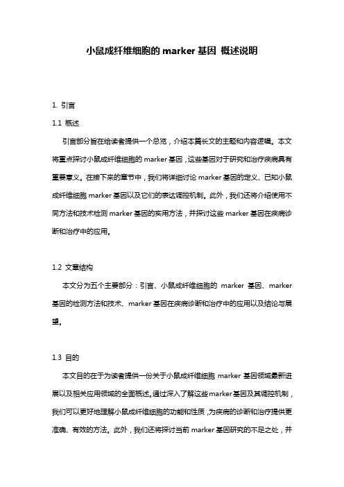 小鼠成纤维细胞的marker基因_概述说明