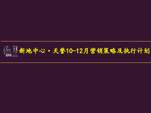 新地中心营销策略及执行计划