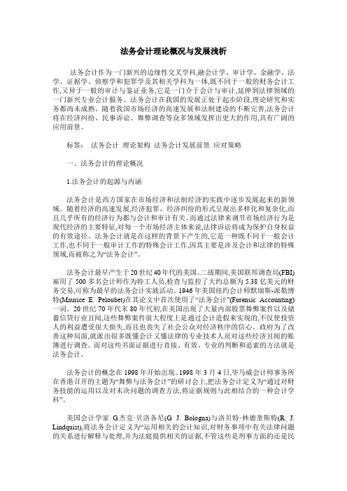 法务会计理论概况与发展浅析