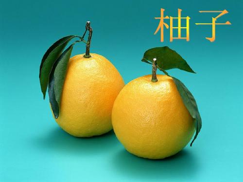 柚子