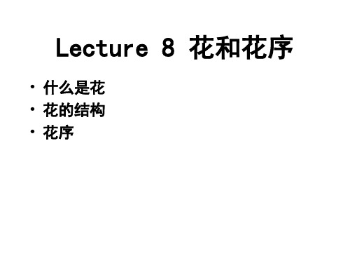 花与花序