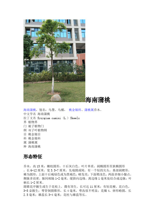 生态学 植物