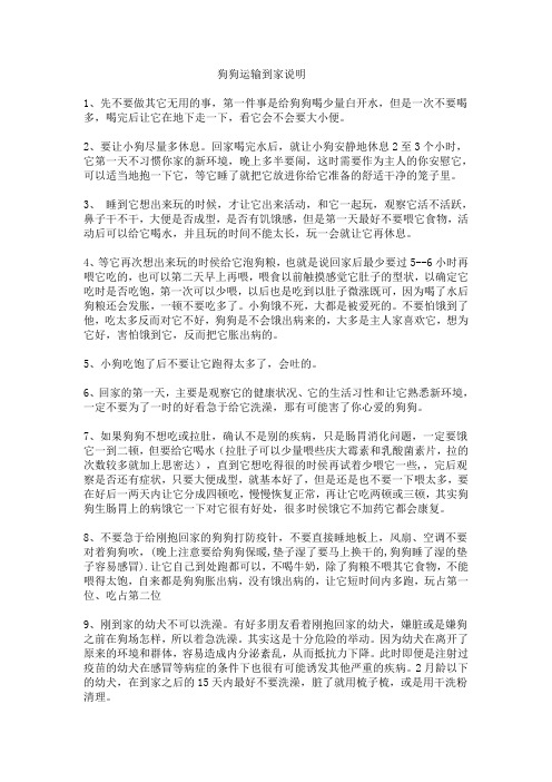 狗狗运输到家注意事项
