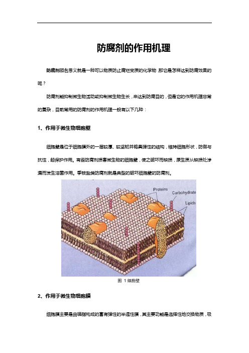 防腐剂的作用机理