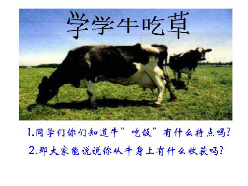 初中语文_季羡林《成功》PPT_ppt_课件
