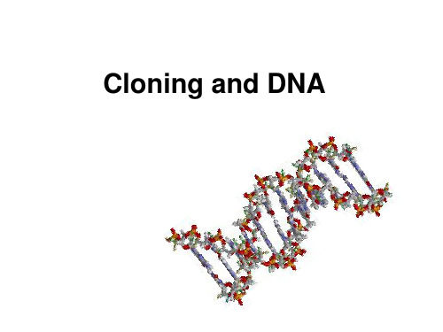 Cloning and DNA