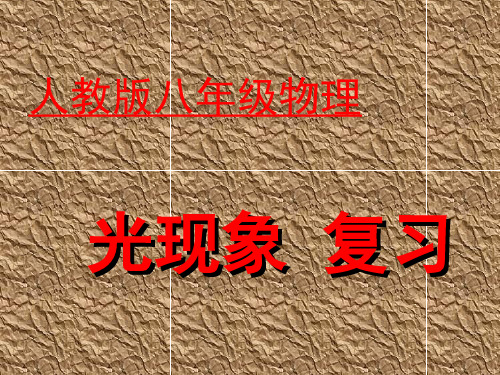 人教版_八年级_物理_第二章_光现象 复习
