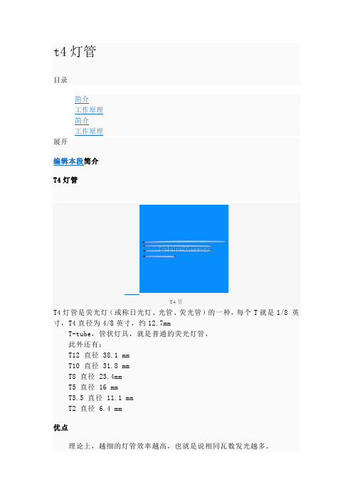t4灯管