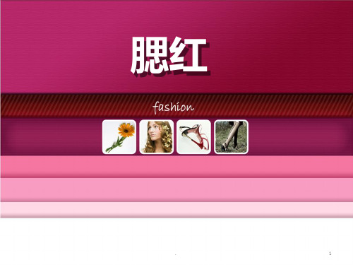 腮红PPT课件