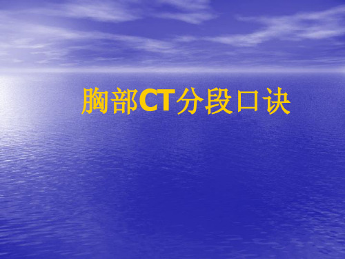 肺部CT分段