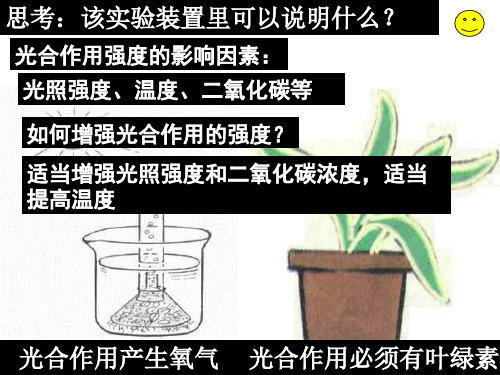 生命科学总复习新陈代谢  浙教版(PPT)5-2