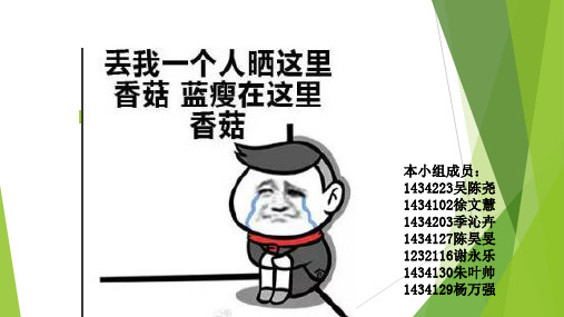 蘑菇介绍 PPT