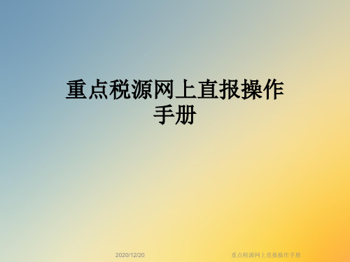 重点税源网上直报操作手册