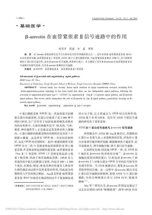 arrestin在血管紧张素信号通路中的作用