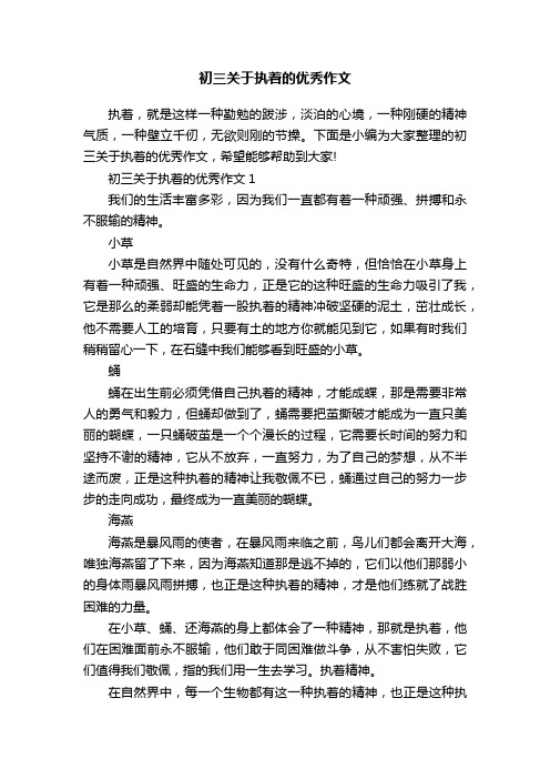 初三关于执着的优秀作文