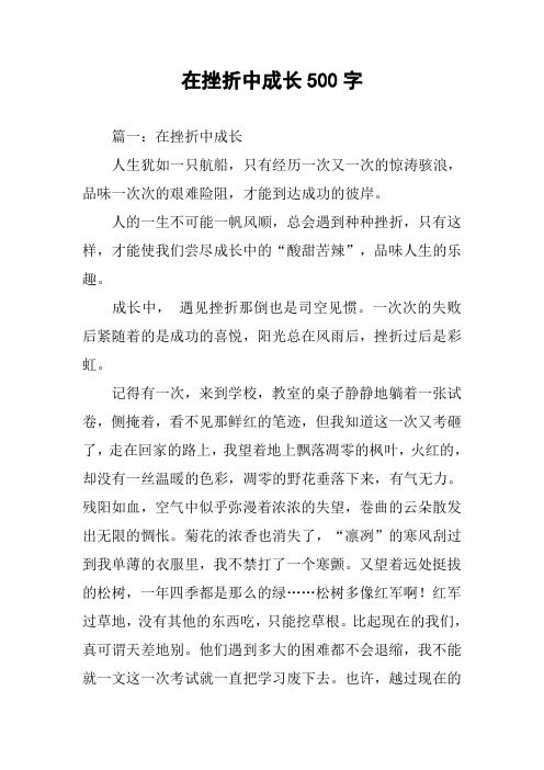 在挫折中成长500字作文