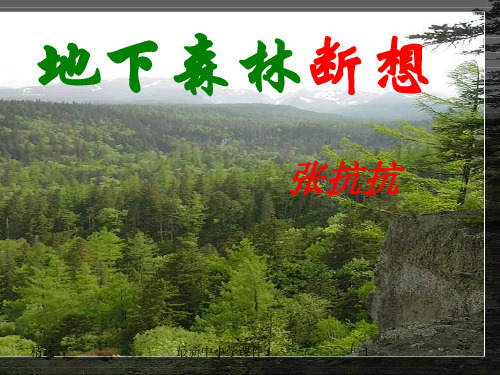 推荐2019秋九年级语文上册第一单元第2课地下森林断想课件3鄂教版