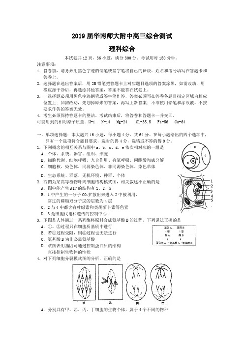 2019届华南师大附中高三综合测试理科综合