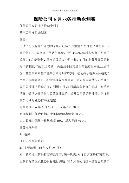 工作计划 保险公司6月业务推动企划案