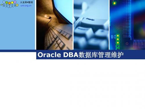 火龙果软件--Oracle数据库管理维护