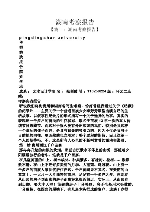 工作报告之湖南考察报告