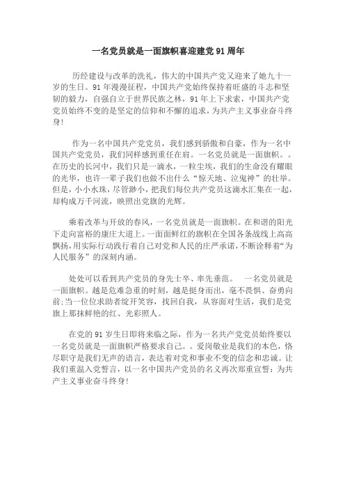 一名党员就是一面旗帜喜迎建党91周年