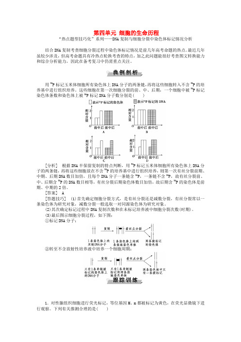 优化方案2017版高考生物大一轮复习 第四单元 细胞的生命历程单元培优提能系列