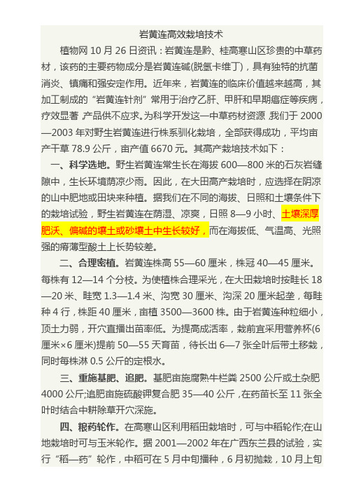 岩黄连高效栽培技术