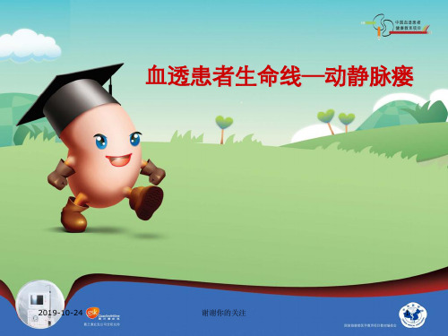 血透患者生命线-动静脉瘘.ppt